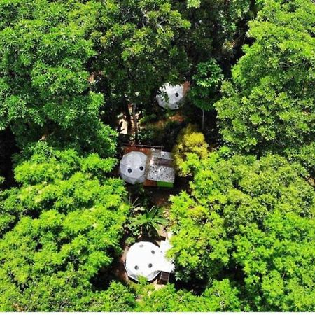 Faith Glamping Dome Costa Rica Hotel Manzanillo Kültér fotó