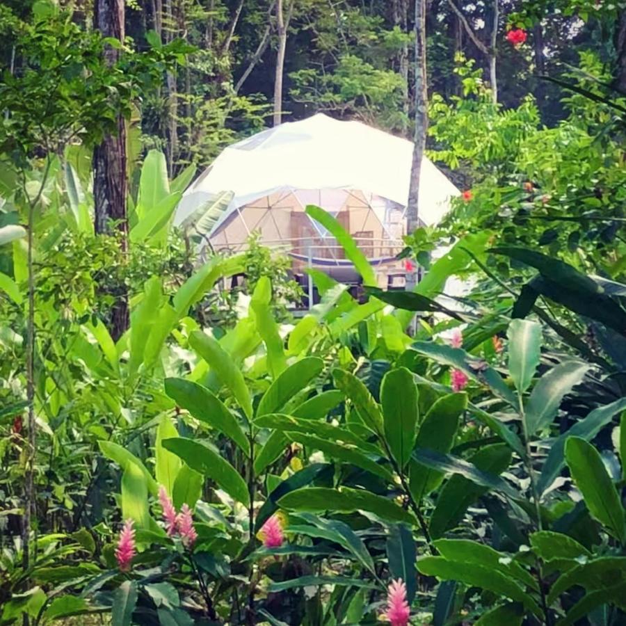 Faith Glamping Dome Costa Rica Hotel Manzanillo Kültér fotó