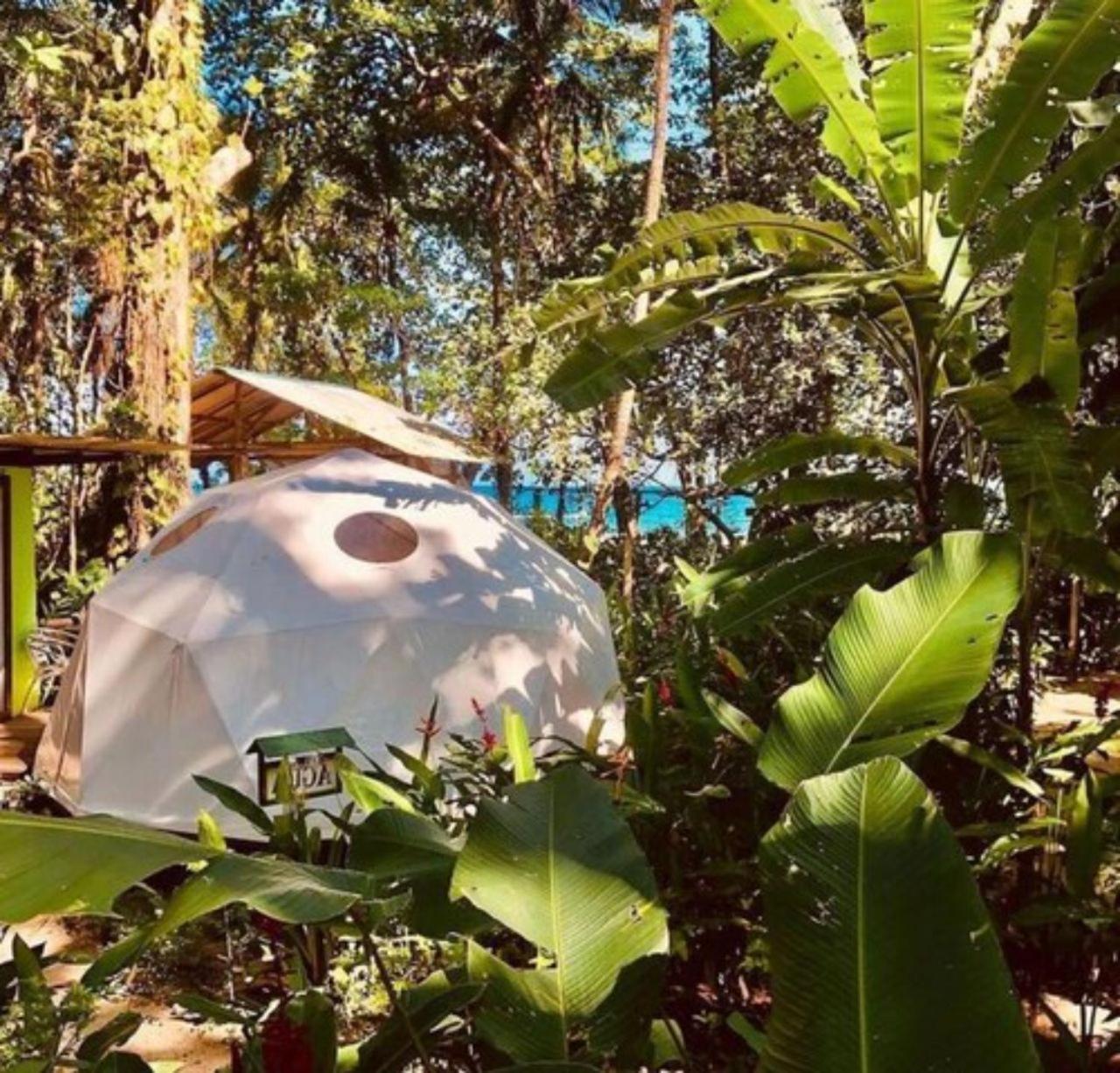Faith Glamping Dome Costa Rica Hotel Manzanillo Kültér fotó