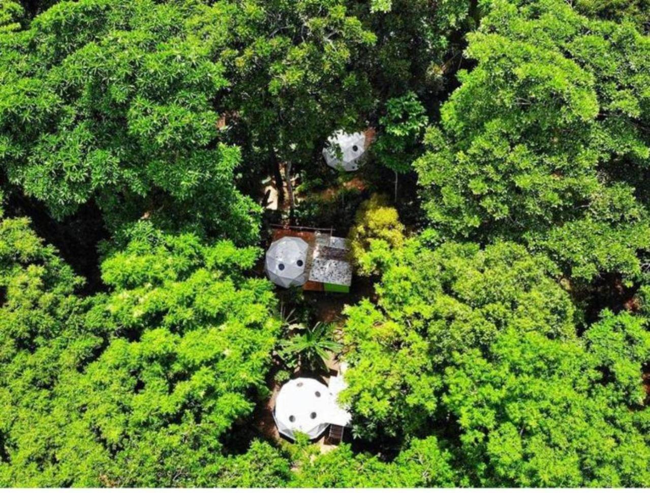 Faith Glamping Dome Costa Rica Hotel Manzanillo Kültér fotó