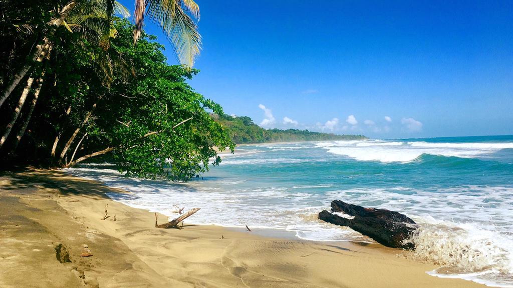 Faith Glamping Dome Costa Rica Hotel Manzanillo Kültér fotó