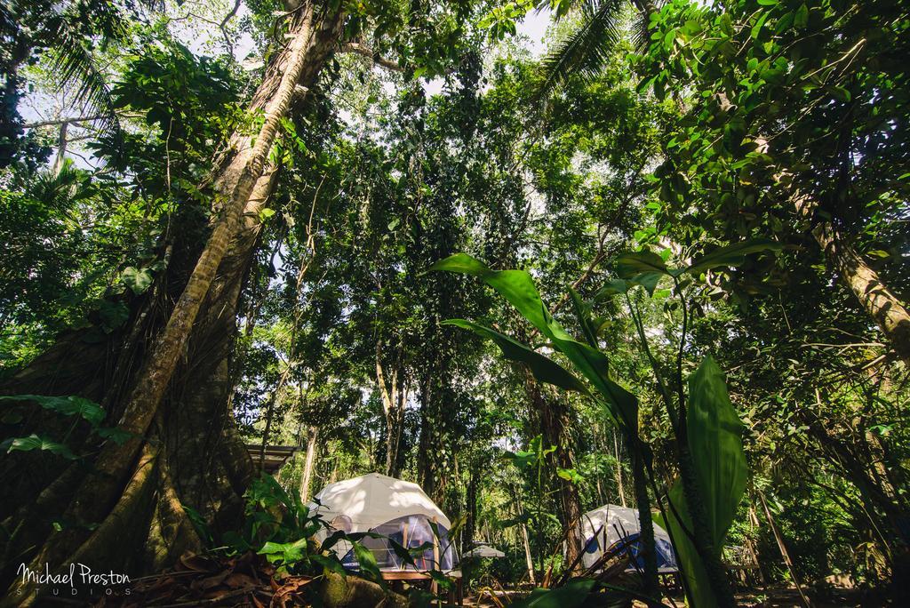 Faith Glamping Dome Costa Rica Hotel Manzanillo Kültér fotó